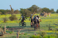 Botswana-Mashatu-Tuli Mountain Biking Safari